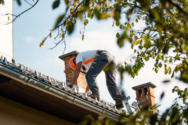 Roof Gutter Cleaning in Happy Valley, CA